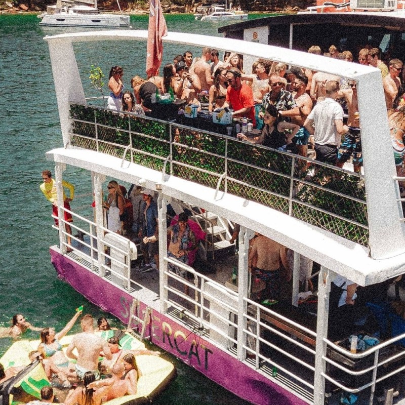 a group of people standing next to a fence